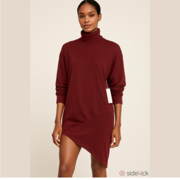 Young Fabulous & Broke Dresses & Skirts - Young Fabulous & Broke Maroon Asymmetrical Turtleneck Dress XS NWT $178